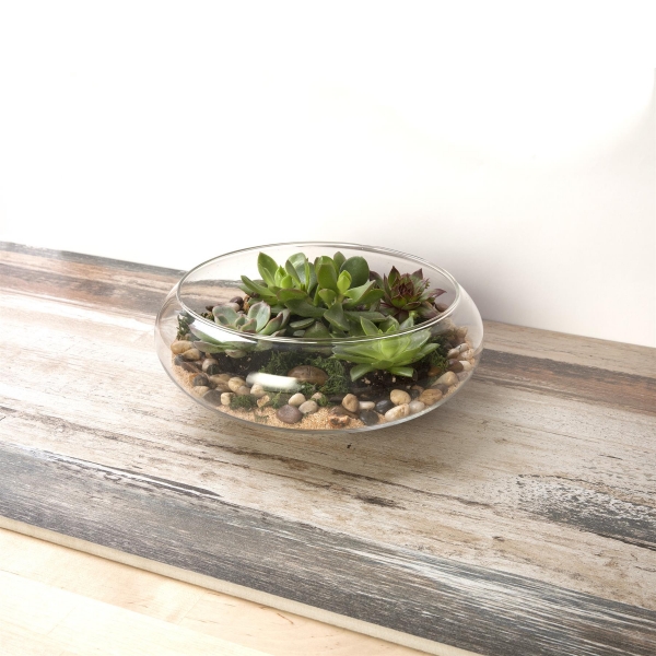 Glass Terrarium Succulent for Planter 25cm dia