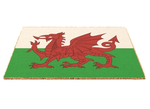 Coir Mat Welsh Dragon 60x40 Flag Design Rubber Backing Home Decor Indoor Outdoor