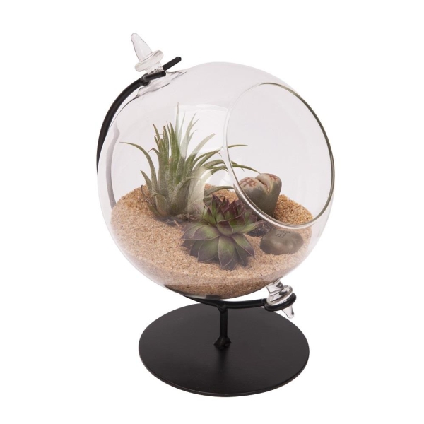 Desktop Glass Terrarium Planter and Metal Stand.